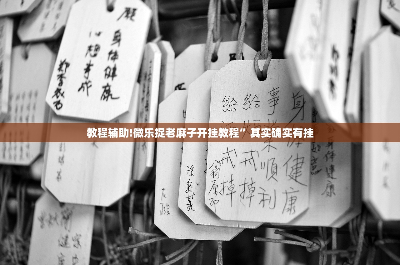 教程辅助!微乐捉老麻子开挂教程”其实确实有挂