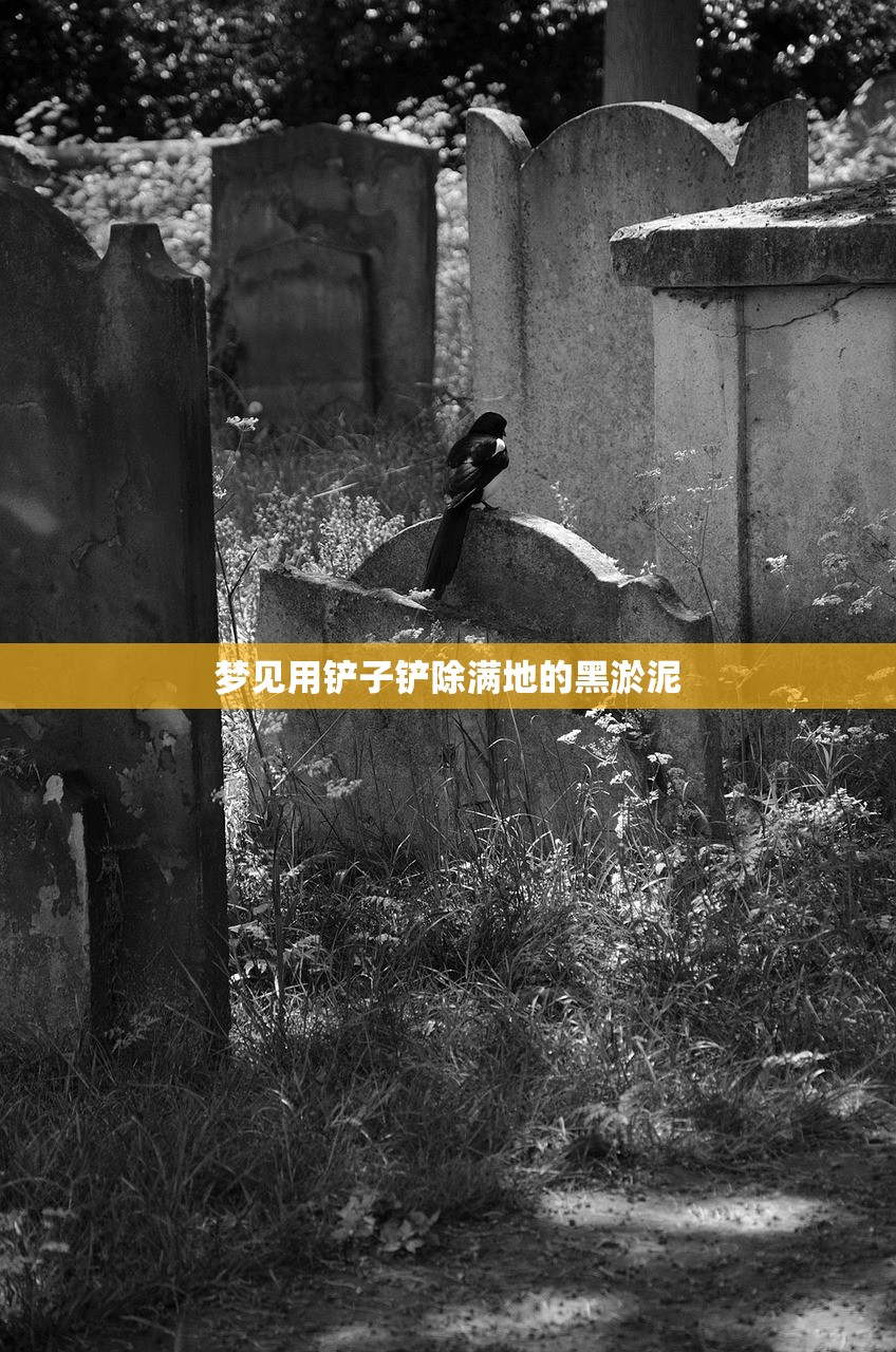 梦见用铲子铲除满地的黑淤泥