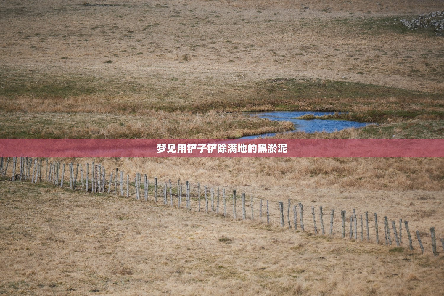 梦见用铲子铲除满地的黑淤泥