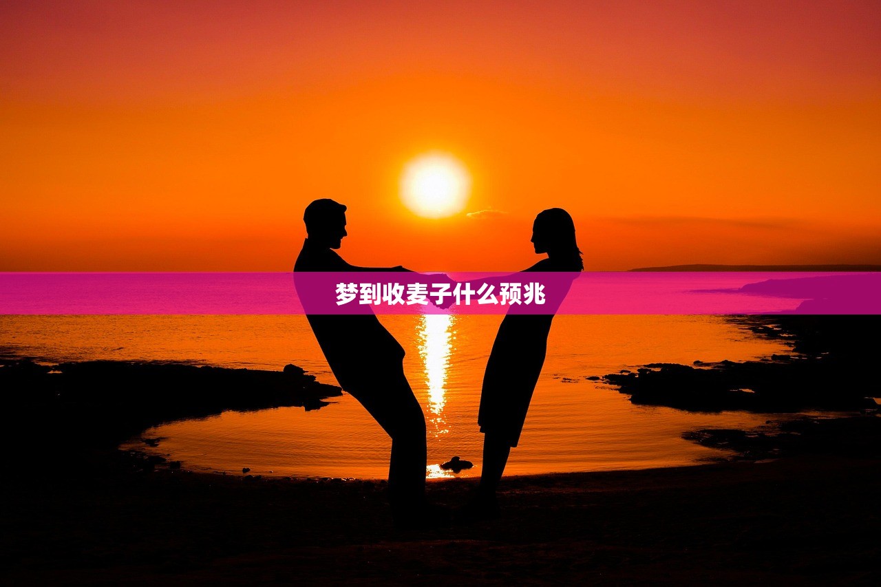 梦到收麦子什么预兆